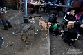 Wageni_2010-06-12_web_004